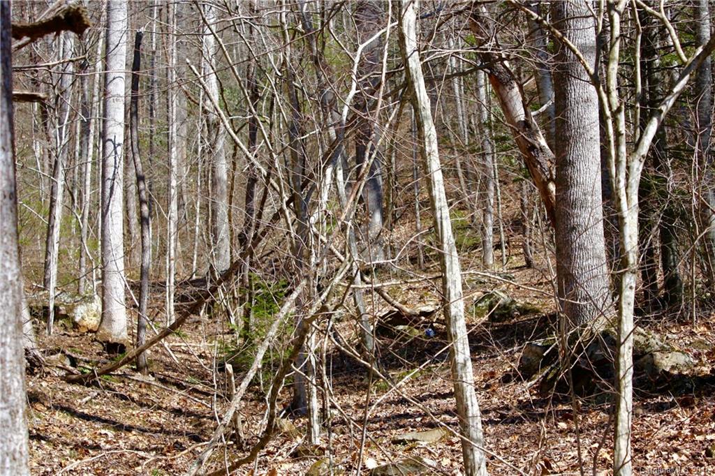 0 Little East Fork Road Canton, NC 28716 - Photo 7 of 11 Gallery Image 7