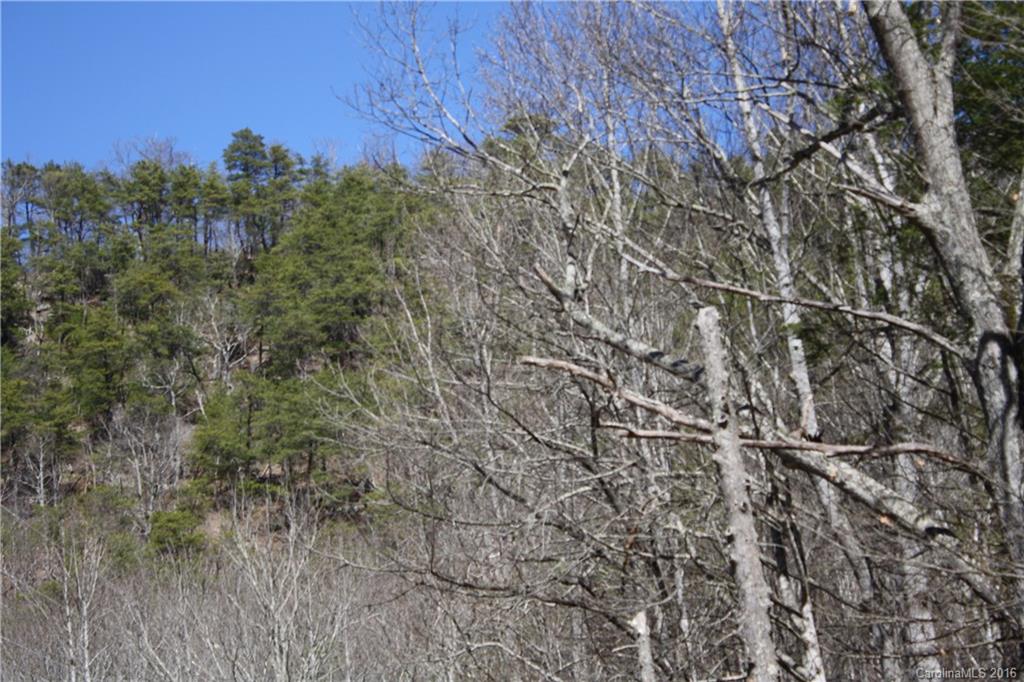 0 Little East Fork Road Canton, NC 28716 - Photo 8 of 11 Gallery Image 8