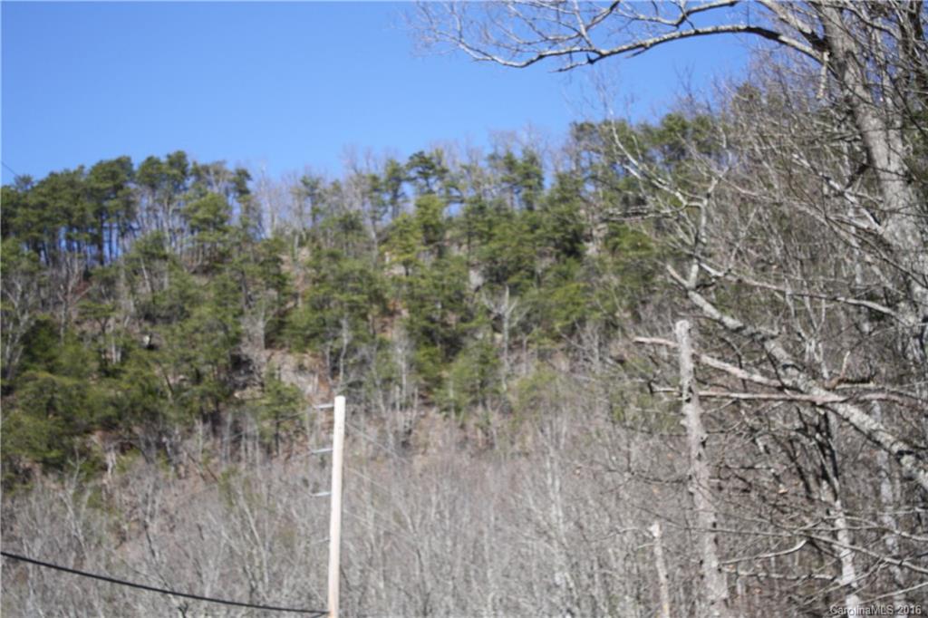 0 Little East Fork Road Canton, NC 28716 - Photo 9 of 11 Gallery Image 9