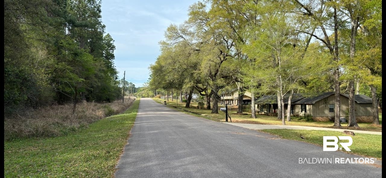3740 Latigo Road Mobile, AL 36695 - Photo 2 of 8 View of road