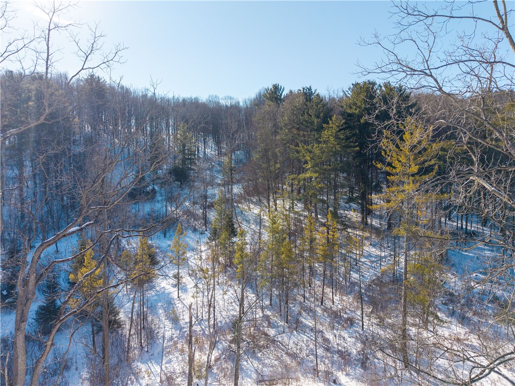 8823 Eelpot Road Naples, NY 14512 - Photo 37 of 48