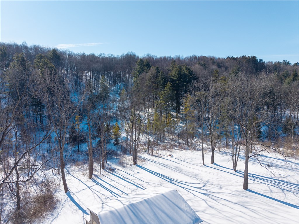 8823 Eelpot Road Naples, NY 14512 - Photo 41 of 48