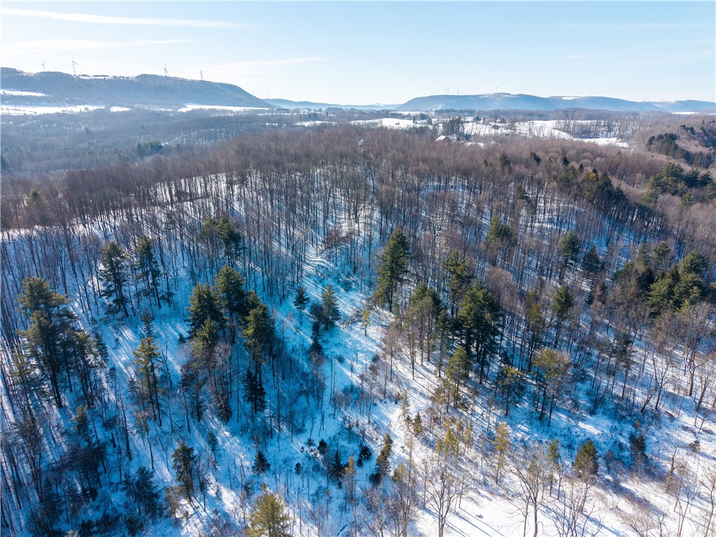 8823 Eelpot Road Naples, NY 14512 - Photo 43 of 48