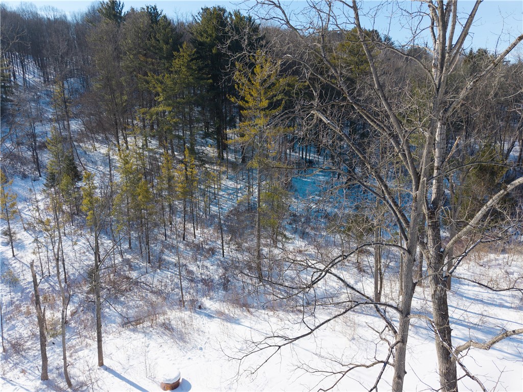 8823 Eelpot Road Naples, NY 14512 - Photo 44 of 48