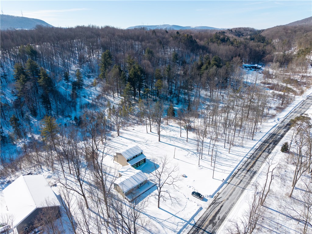 8823 Eelpot Road Naples, NY 14512 - Photo 45 of 48