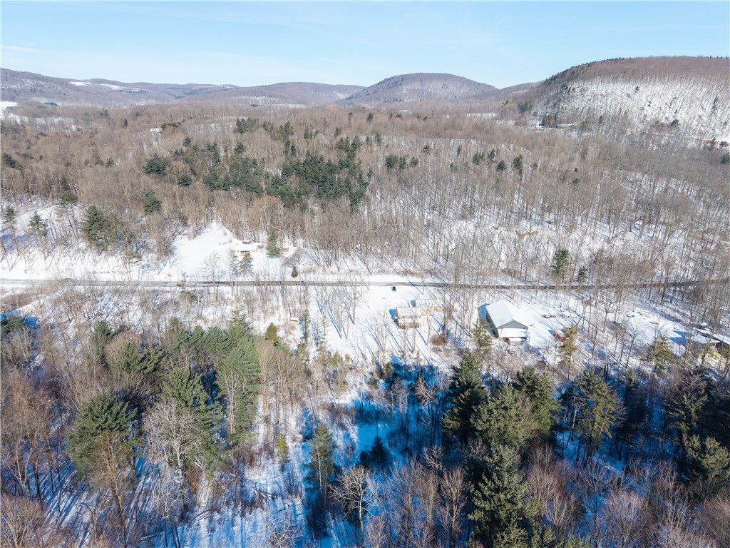 8823 Eelpot Road Naples, NY 14512 - Photo 47 of 48