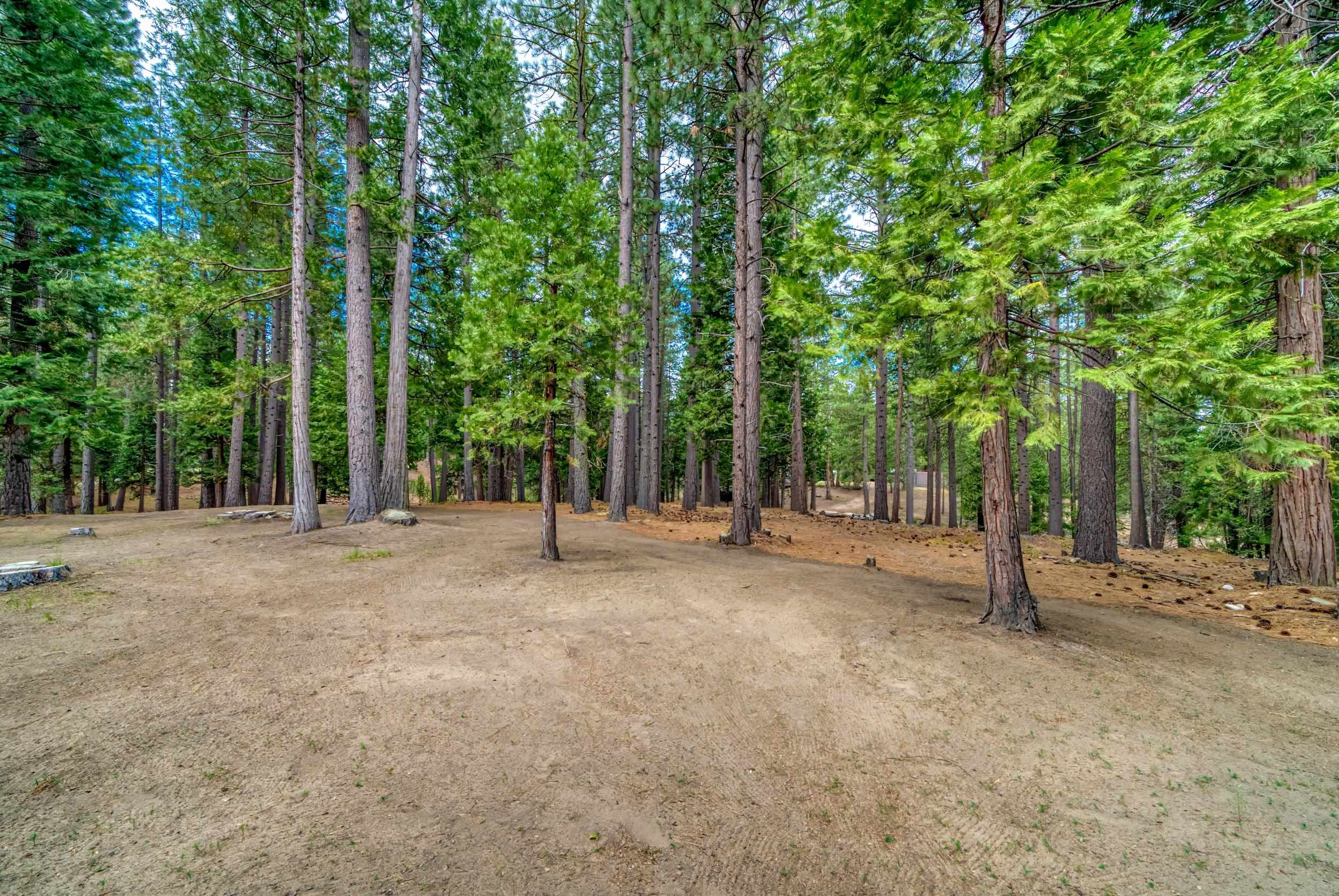 860 Red Fox Road Clio, CA 96106 - Photo 46 of 50