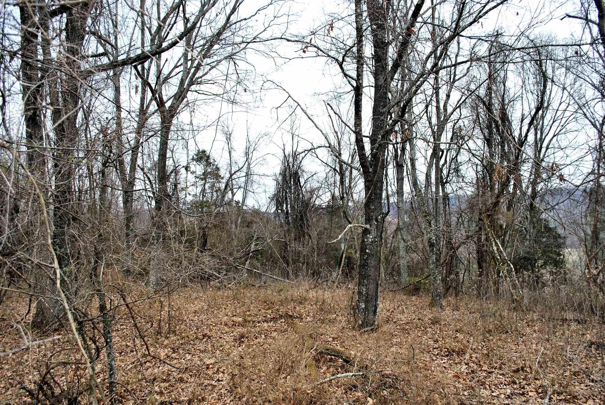 Tbd 21-ac Union Valley Road Pilot, VA 24138 - Photo 20 of 26 Gallery Image 20