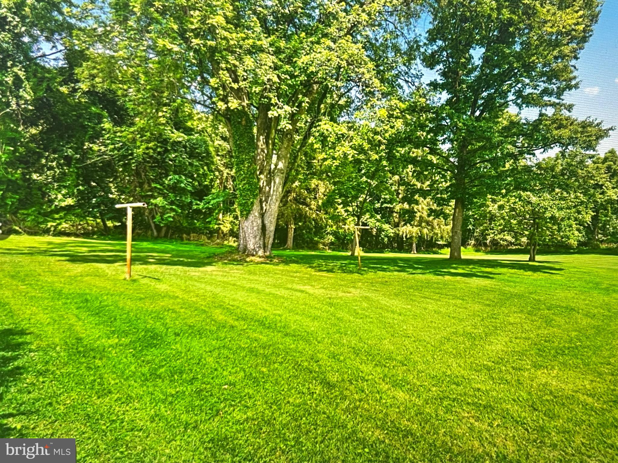 8608 Inwood Road Windsor Mill, MD 21244 - Photo 6 of 20 a view of a park with large trees