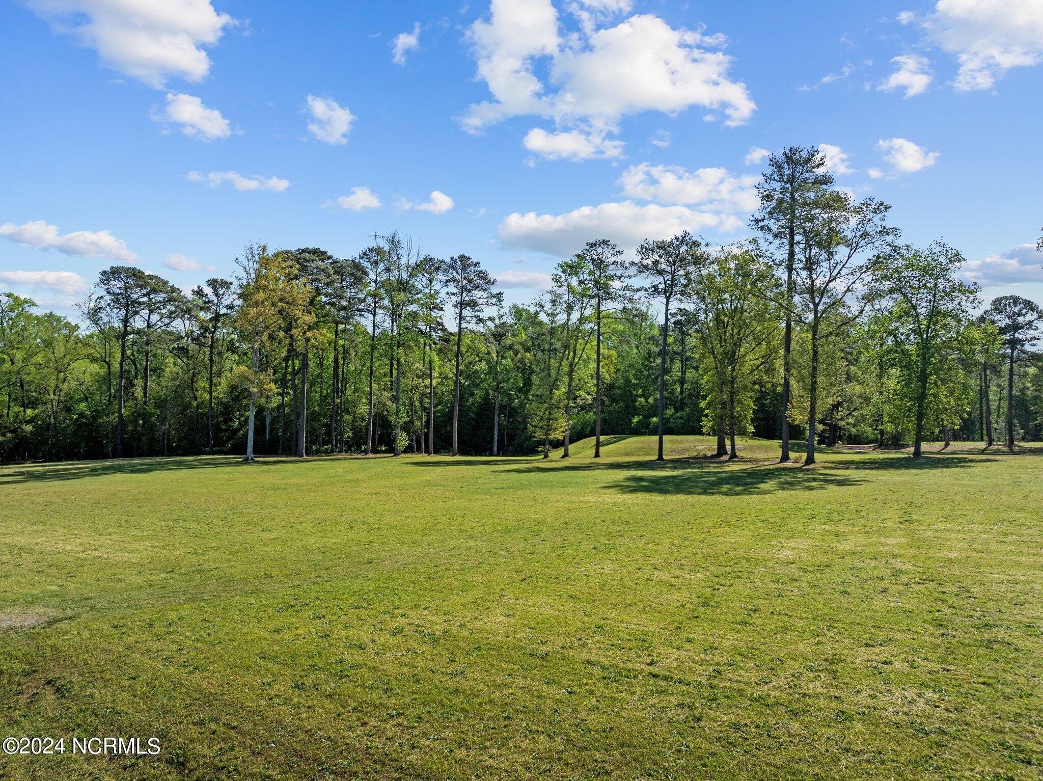 302 Golf Course Drive Pinetops, NC 27864 - Photo 13 of 34 13-web-or-mls-DJI_0958