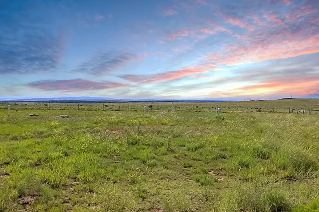 a view of a city with lush green forest