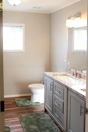 a bathroom with a sink toilet and vanity
