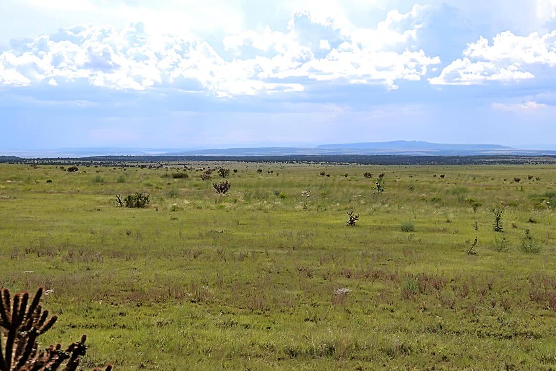 735 Wagon Mound Highway Other - Not In List, NM 87743 - Photo 34 of 39 a view of an ocean view
