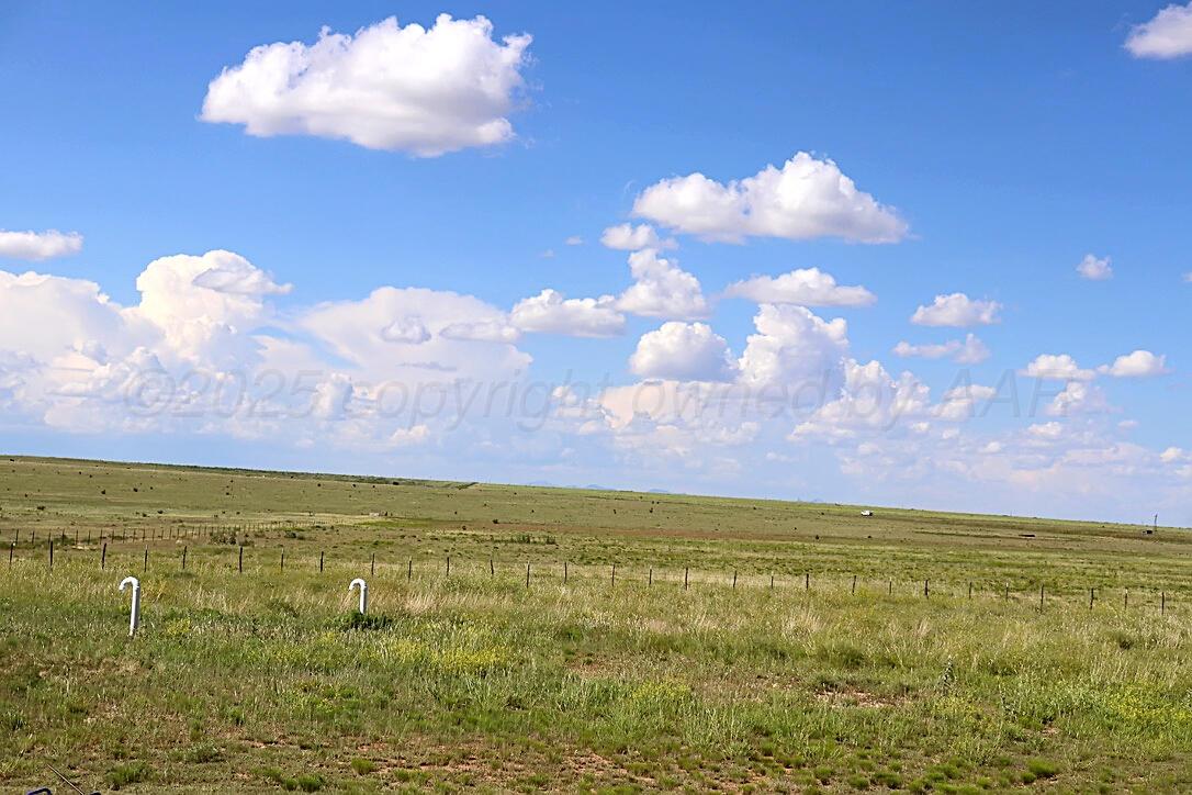 735 Wagon Mound Highway Other - Not In List, NM 87743 - Photo 35 of 39