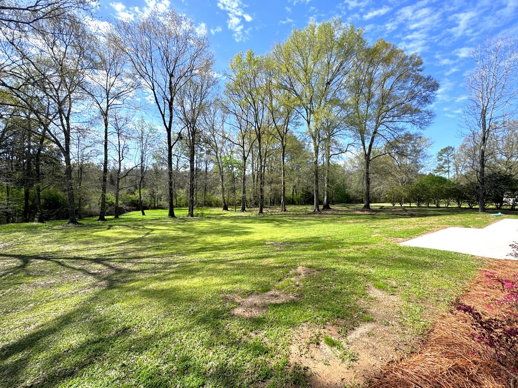 1038 8 Point Drive Summit, MS 39666 - Photo 11 of 29 Photo 11