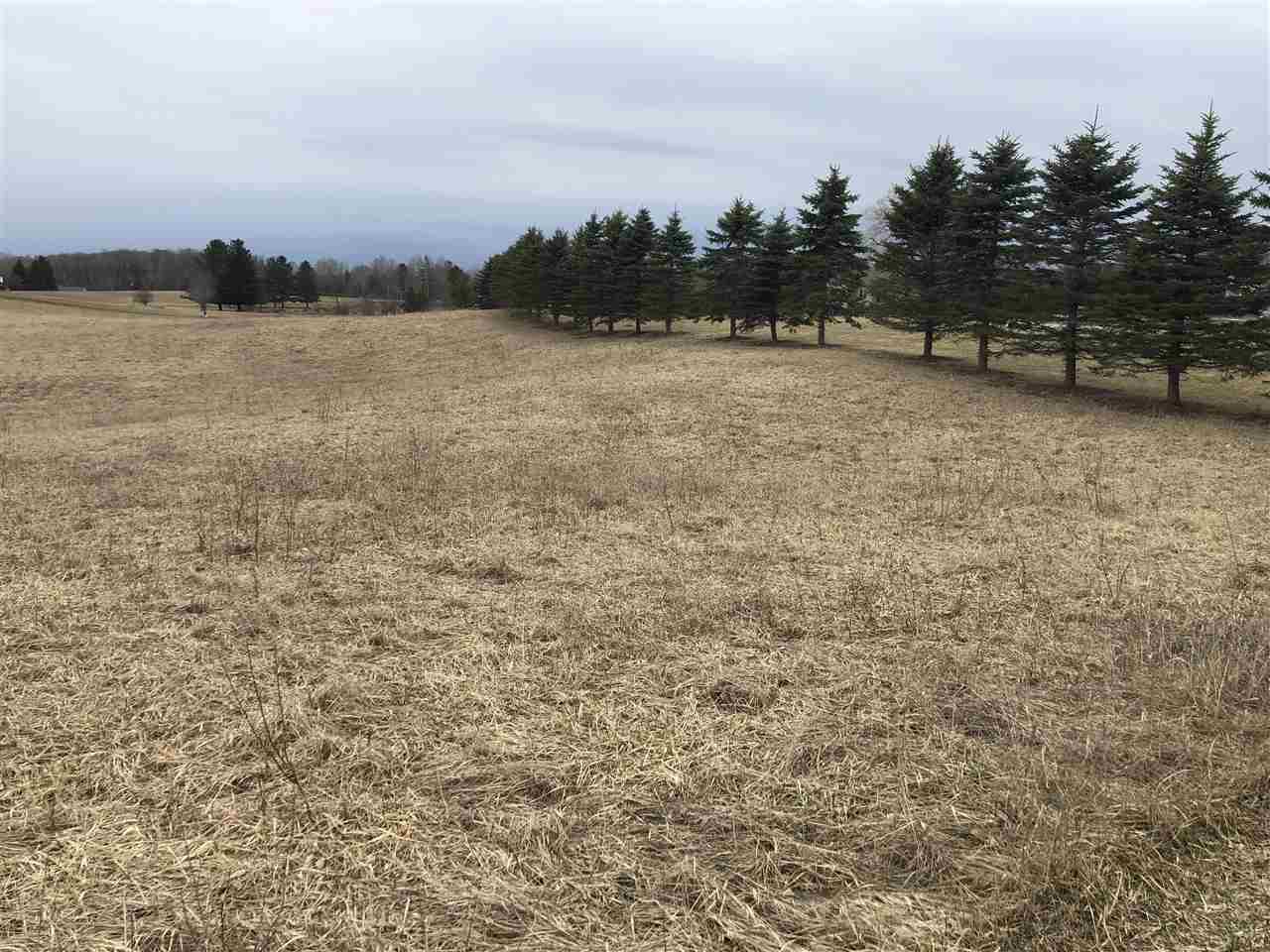 0 South Dow Road West Branch, MI 48661 - Photo 9 of 10