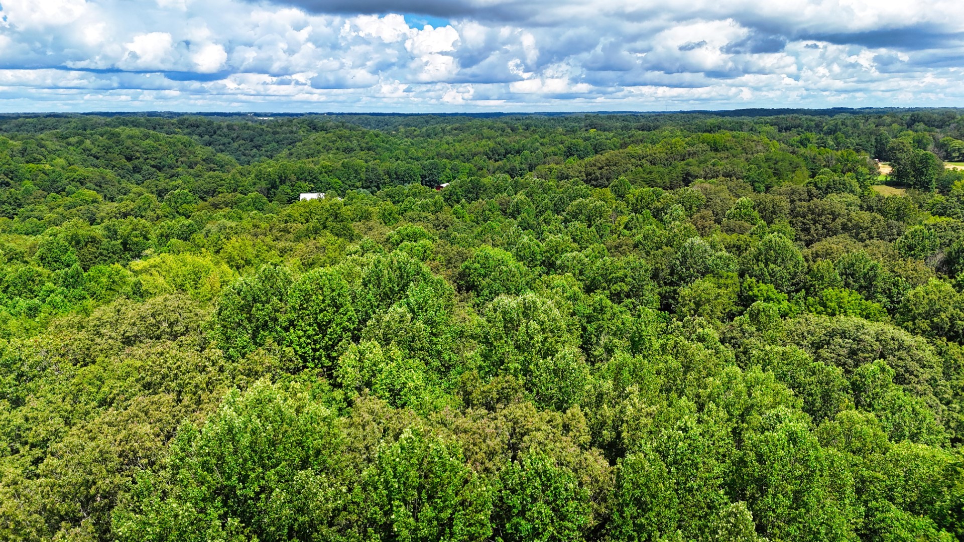 0 Wilkerson Road Sparta, TN 38583 - Photo 17 of 19 Gallery Image 17