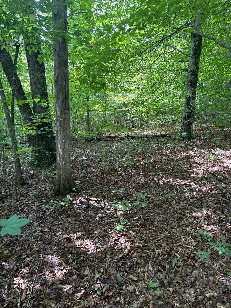 0 Wilkerson Road Sparta, TN 38583 - Photo 8 of 19 Gallery Image 8