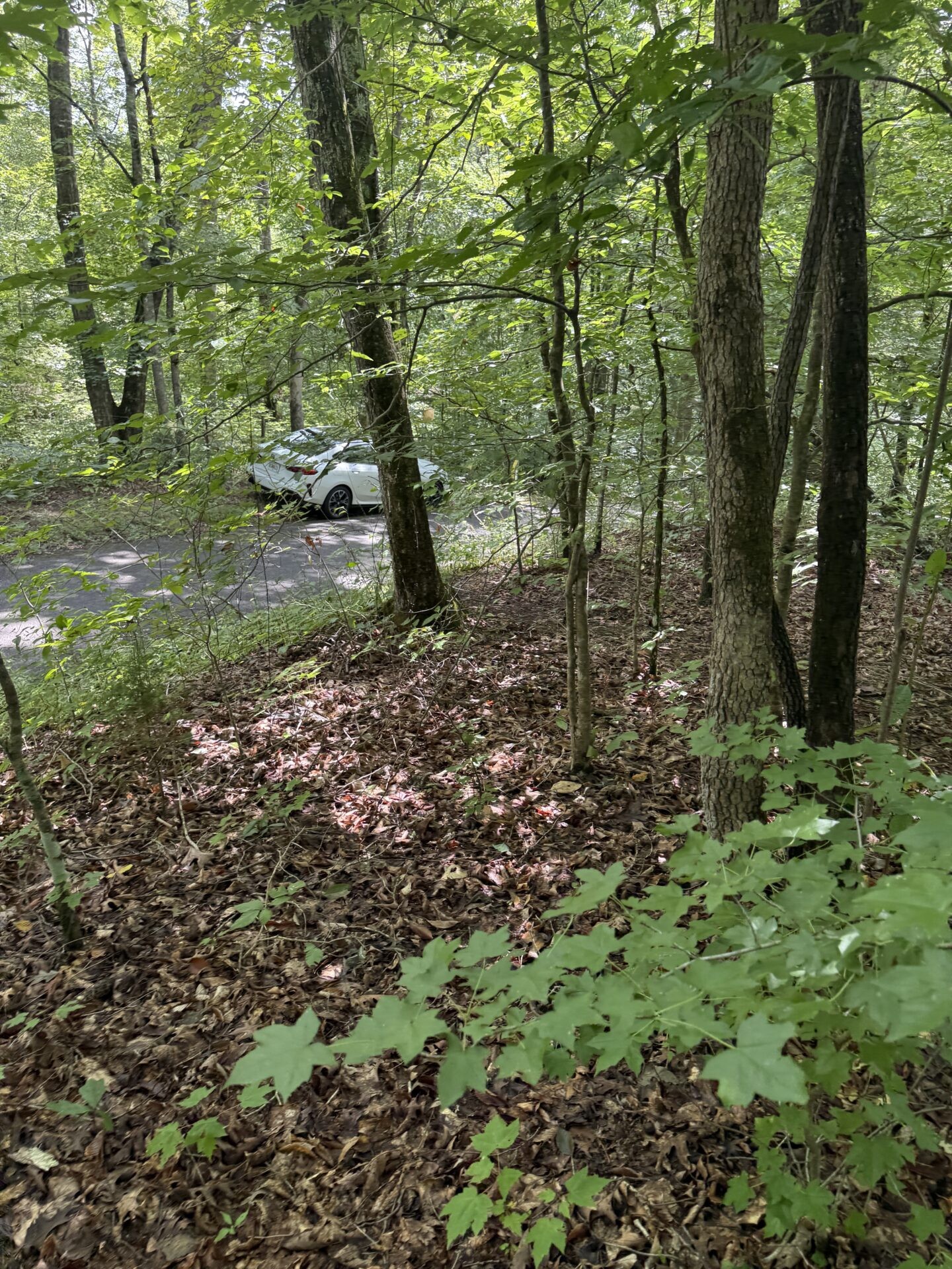 0 Wilkerson Road Sparta, TN 38583 - Photo 10 of 19 Gallery Image 10