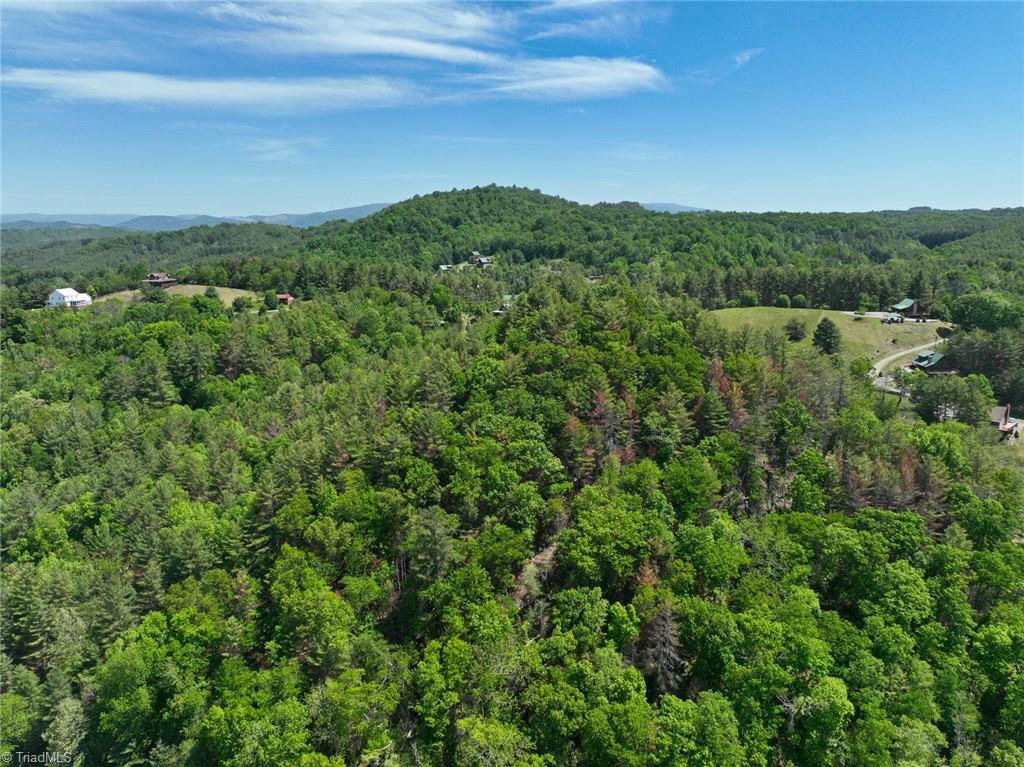 1536 Lucy Bell Road Crumpler, NC 28617 - Photo 43 of 50