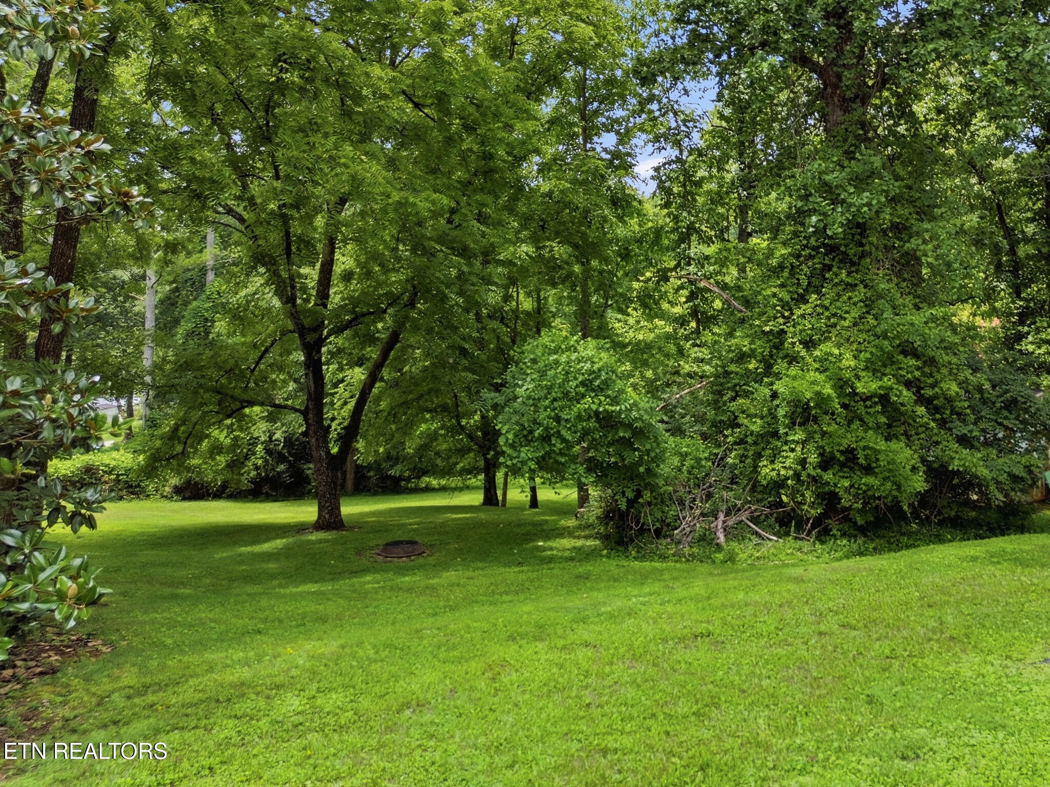 121 Salem Road Oak Ridge, TN 37830 - Photo 30 of 35 Gallery Image 30