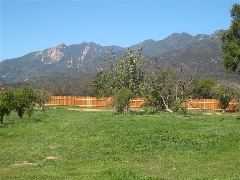 334 North Rice Road Ojai, CA 93023 - Photo 13 of 18 a view of a green field with mountain in the background