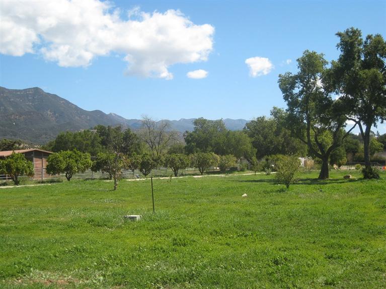 334 North Rice Road Ojai, CA 93023 - Photo 14 of 18 a view of a golf course with a lake