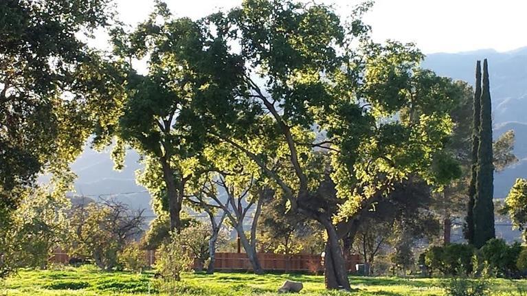 334 North Rice Road Ojai, CA 93023 - Photo 15 of 18 a view of lake view