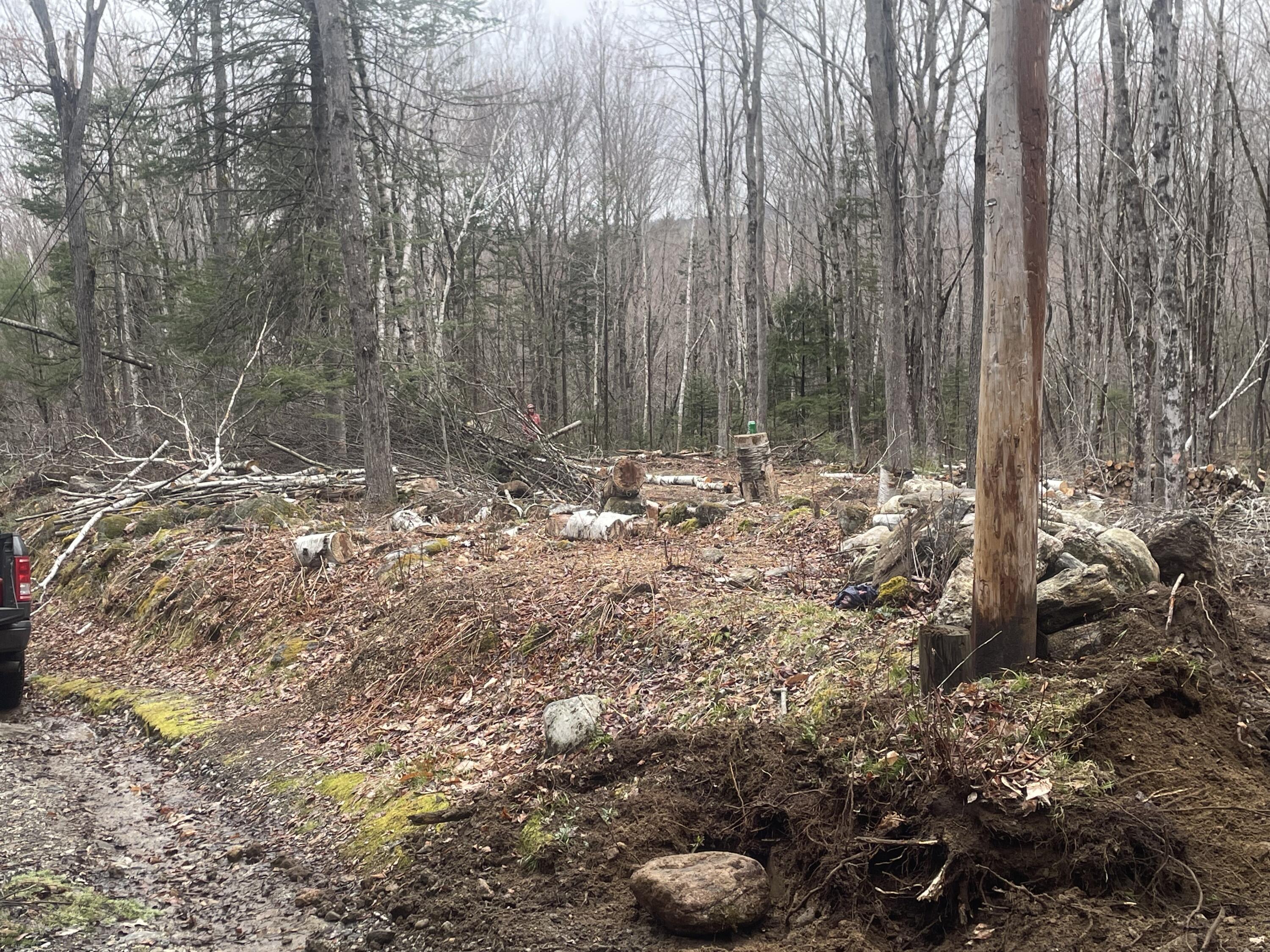 Tbd Dunn Road Norway, ME 04268 - Photo 3 of 17 IMG_4750