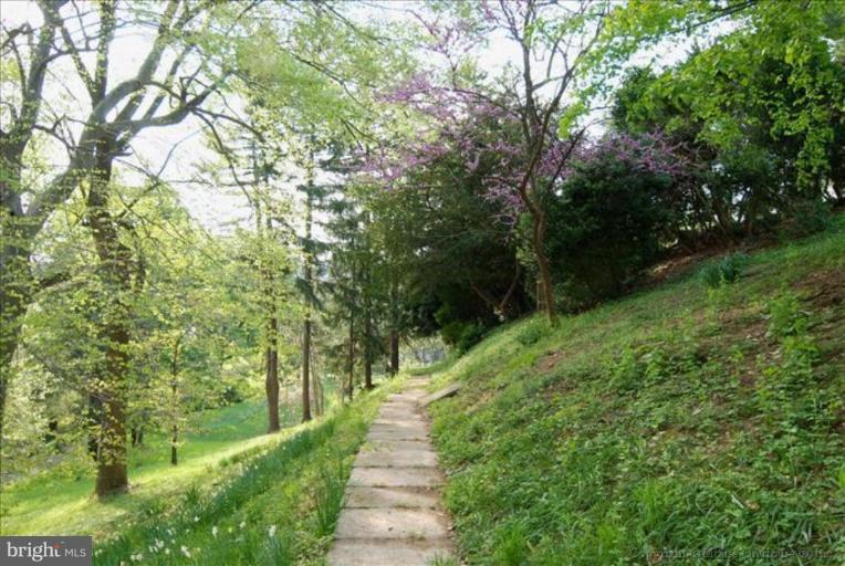 7 Devon Hill Road, Unit A6 Baltimore, MD 21210 - Photo 20 of 23 Community Amenities 4