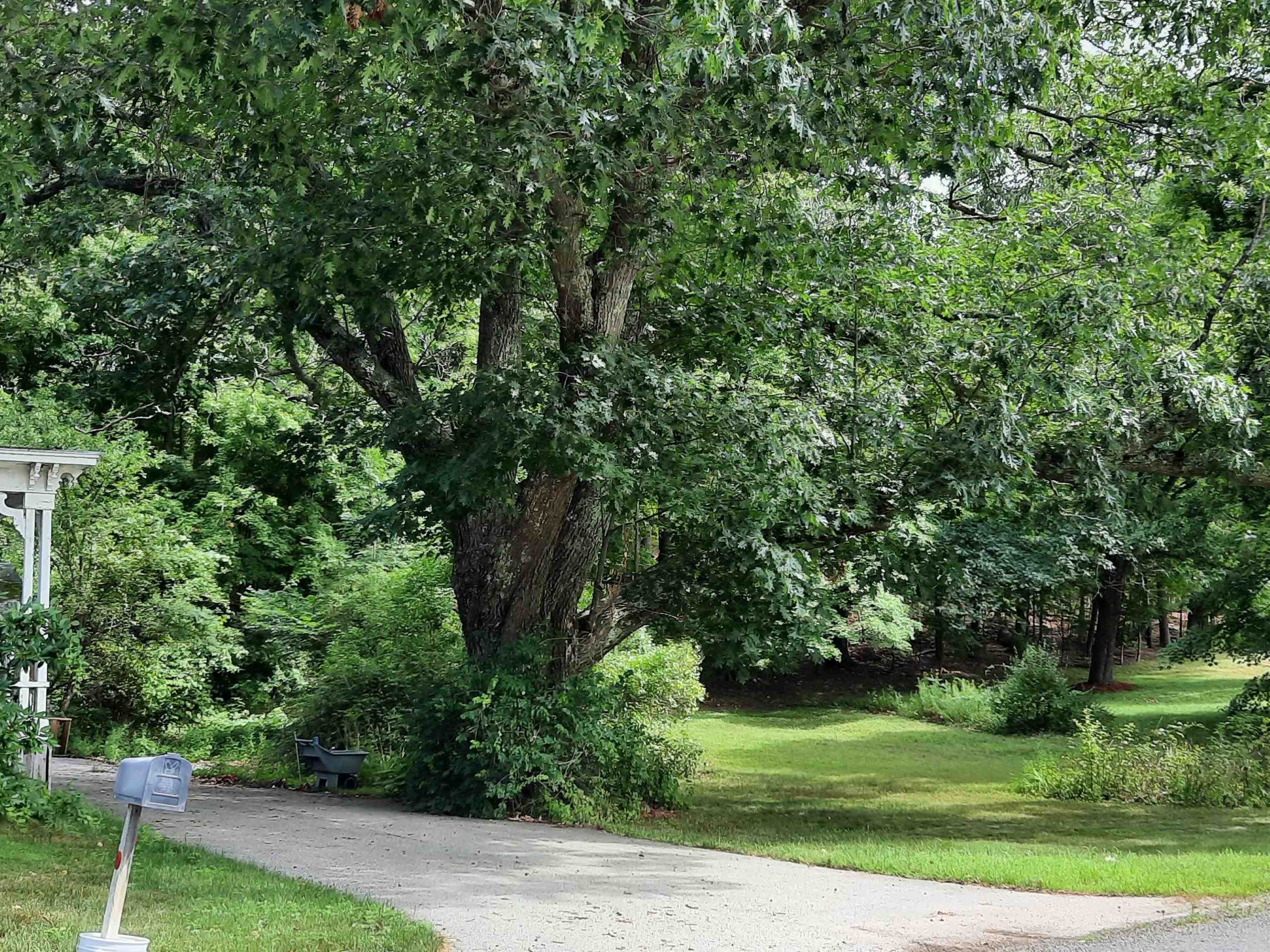 23 Slip Road Greenfield, NH 03047 - Photo 4 of 15