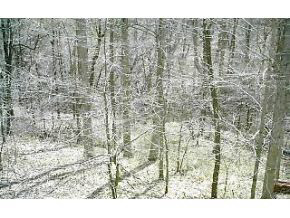 5118 Earl Young Road Bloomington, IN 47408 - Photo 14 of 14 Gallery Image 14