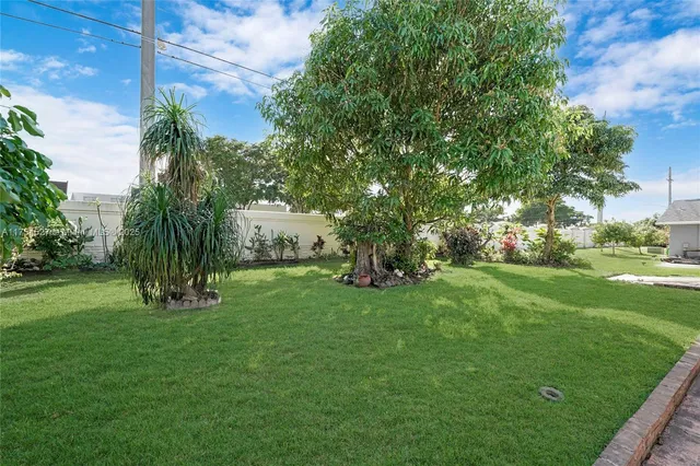 a view of a park with tree s