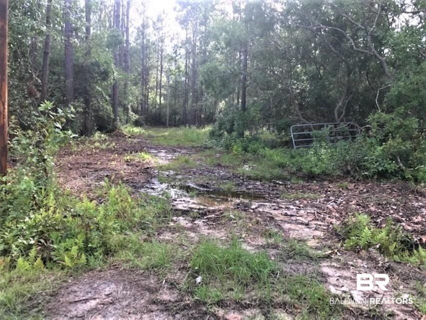 24263 A Woerner Road Elberta, AL 36530 - Photo 10 of 38