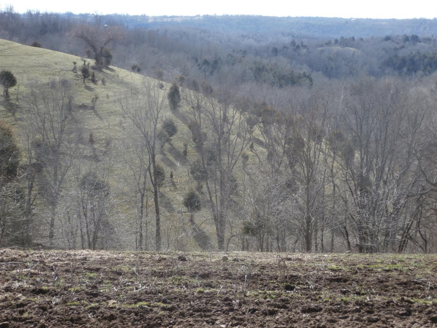 1111 New Road Richmond, KY 40475 - Photo 9 of 10 Photo 9