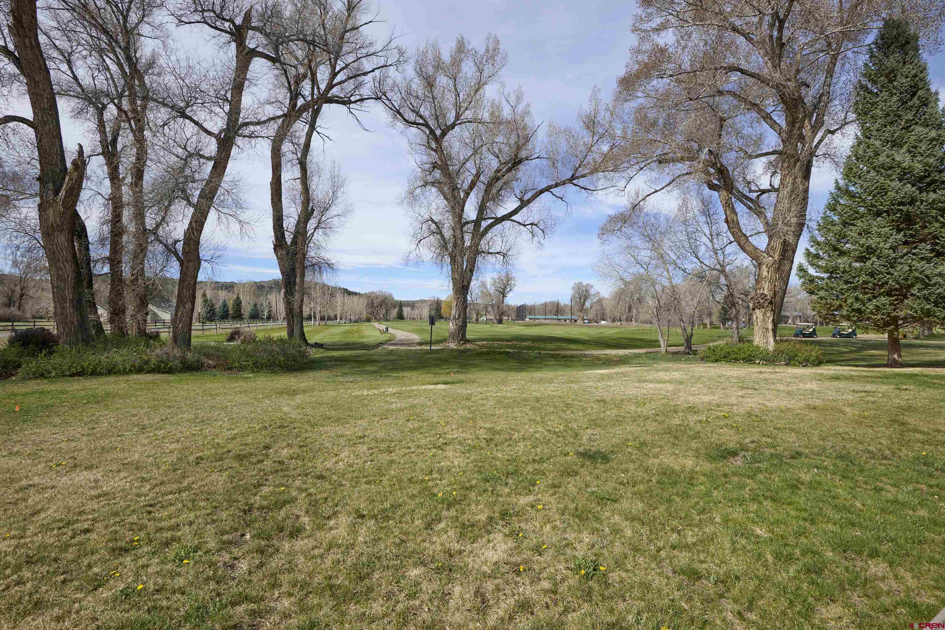 169 Camino Del Rio, Unit 8 Gunnison, CO 81230 - Photo 10 of 45 a view of a field with large trees