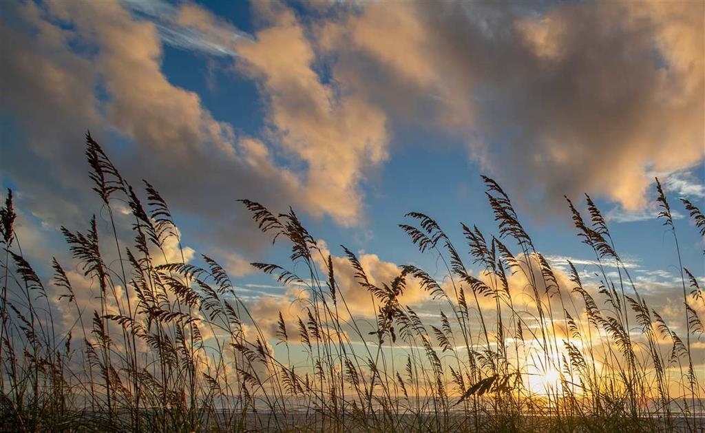 8 13th Street St. Augustine Beach, FL 32080 - Photo 47 of 50