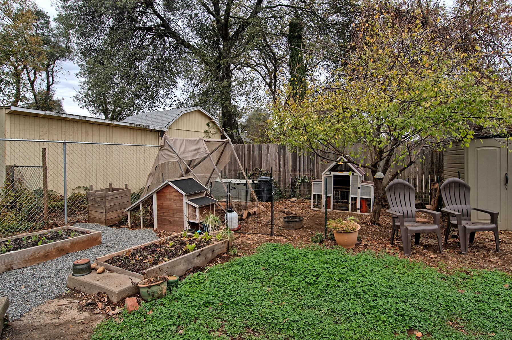 1279 Harpole Road Redding, CA 96002 - Photo 29 of 31 Chicken coop