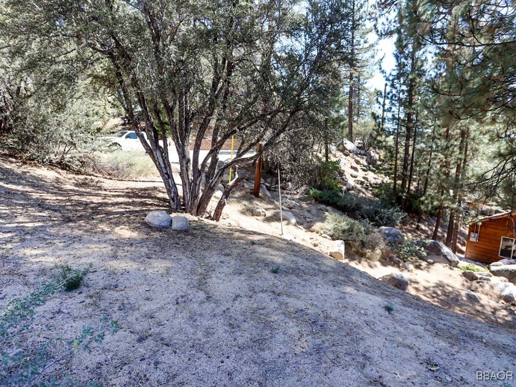 0 Cedar Dell Road Fawnskin, CA 92333 - Photo 11 of 11
