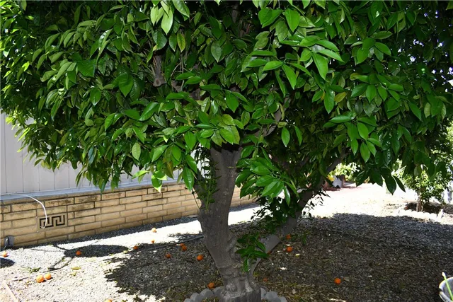 a backyard of a house with table and chairs