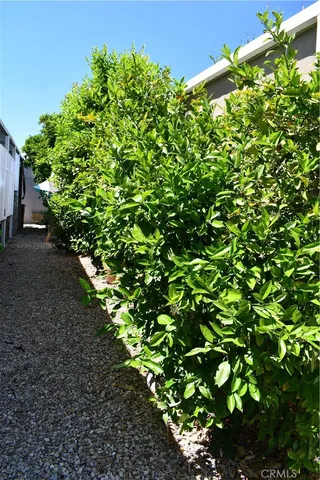 a living room with stainless steel appliances kitchen island granite countertop furniture a rug and a view of kitchen