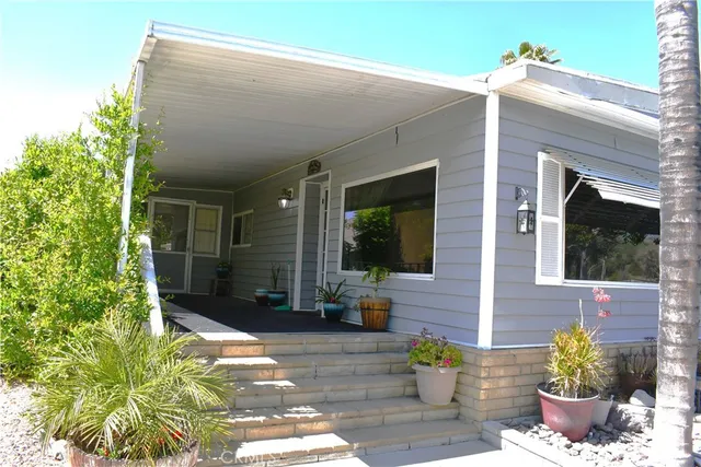 a view of backyard with potted plants