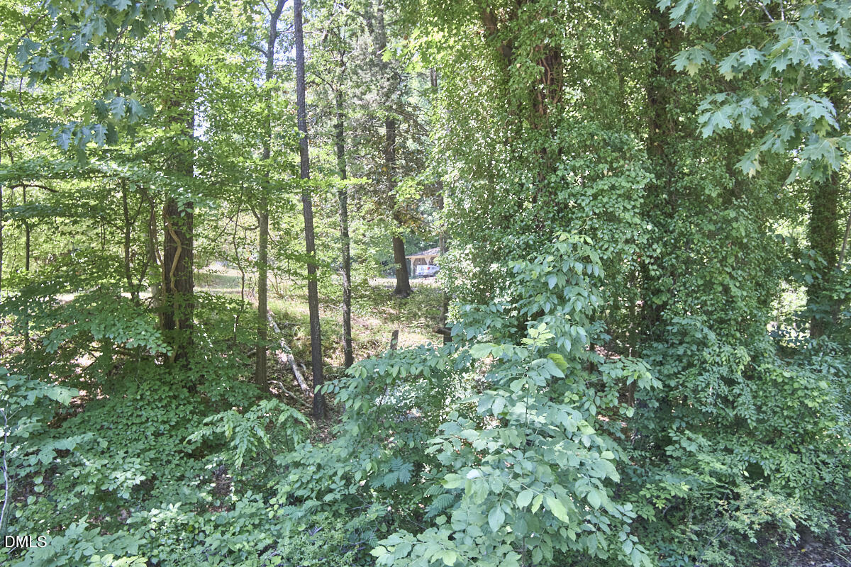 4204 Kerley Road Durham, NC 27705 - Photo 33 of 34 a view of a garden
