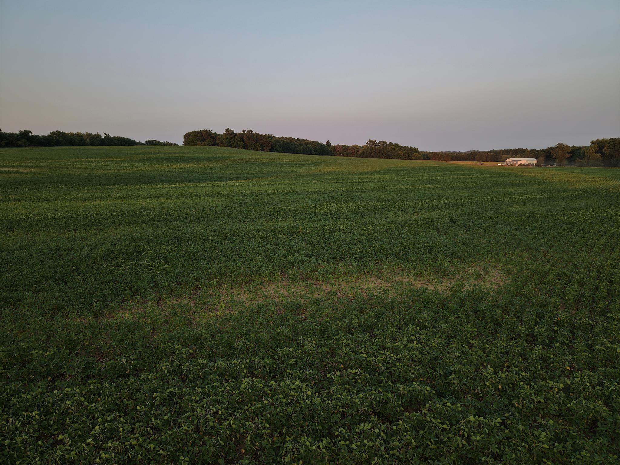 N12900 County G Road Osseo, WI 54758 - Photo 10 of 22 Gallery Image 10