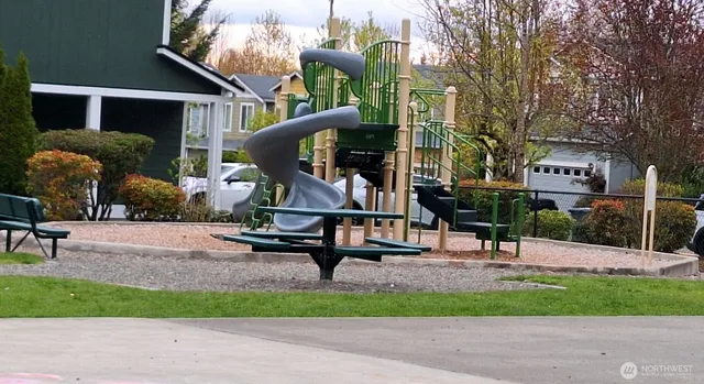 a park with lots of trees and chairs