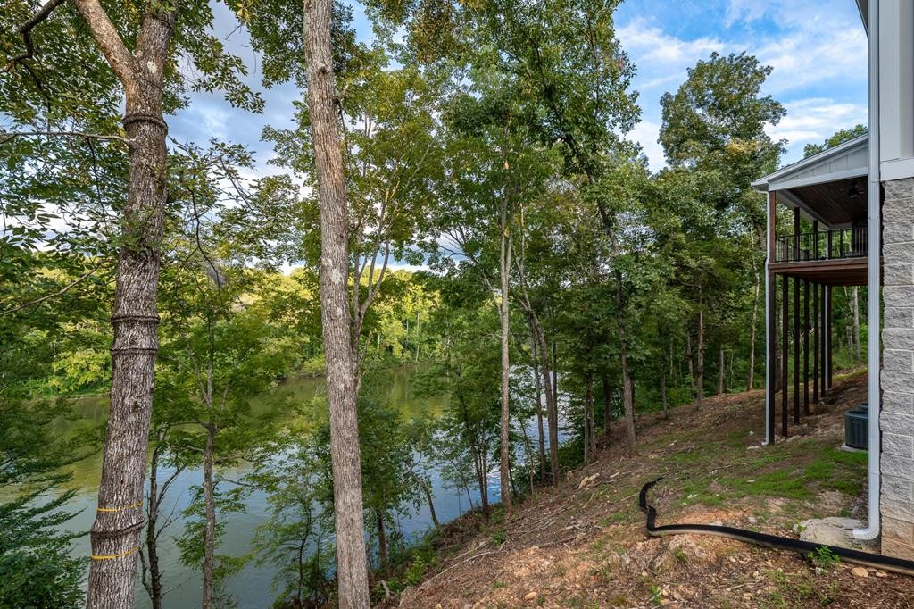 300 Chandler Road Doyle, TN 38559 - Photo 57 of 81