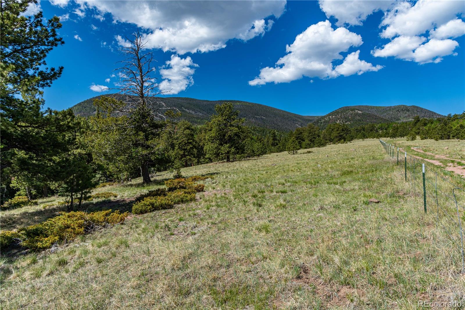 298 Steven Road Canon City, CO 81212 - Photo 22 of 35