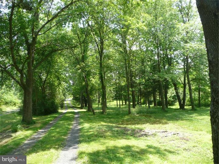4216 New Hope Road New Hope, PA 18938 - Photo 22 of 25