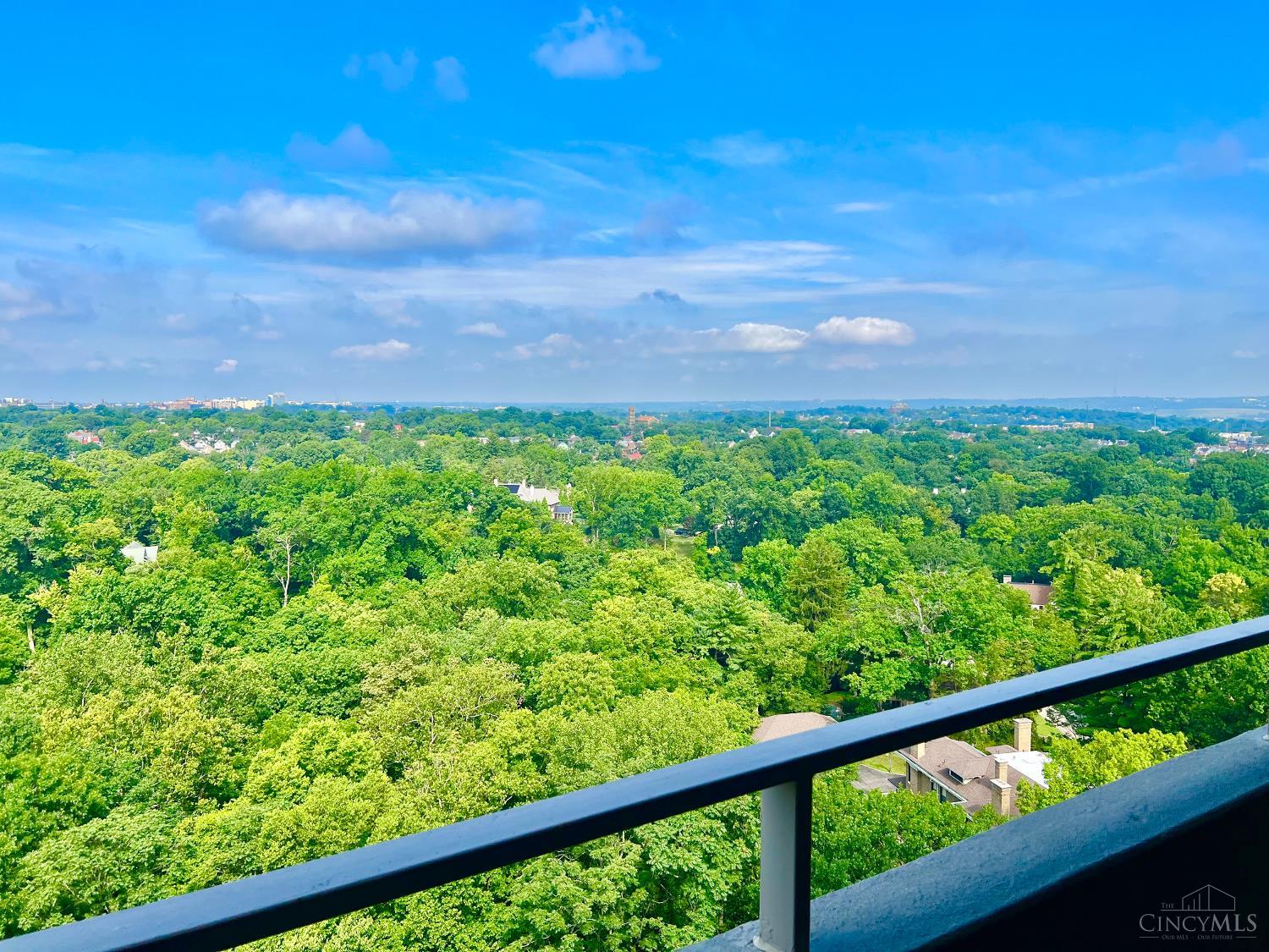 2324 Madison Road, Unit 1509 Cincinnati, OH 45208 - Photo 4 of 18