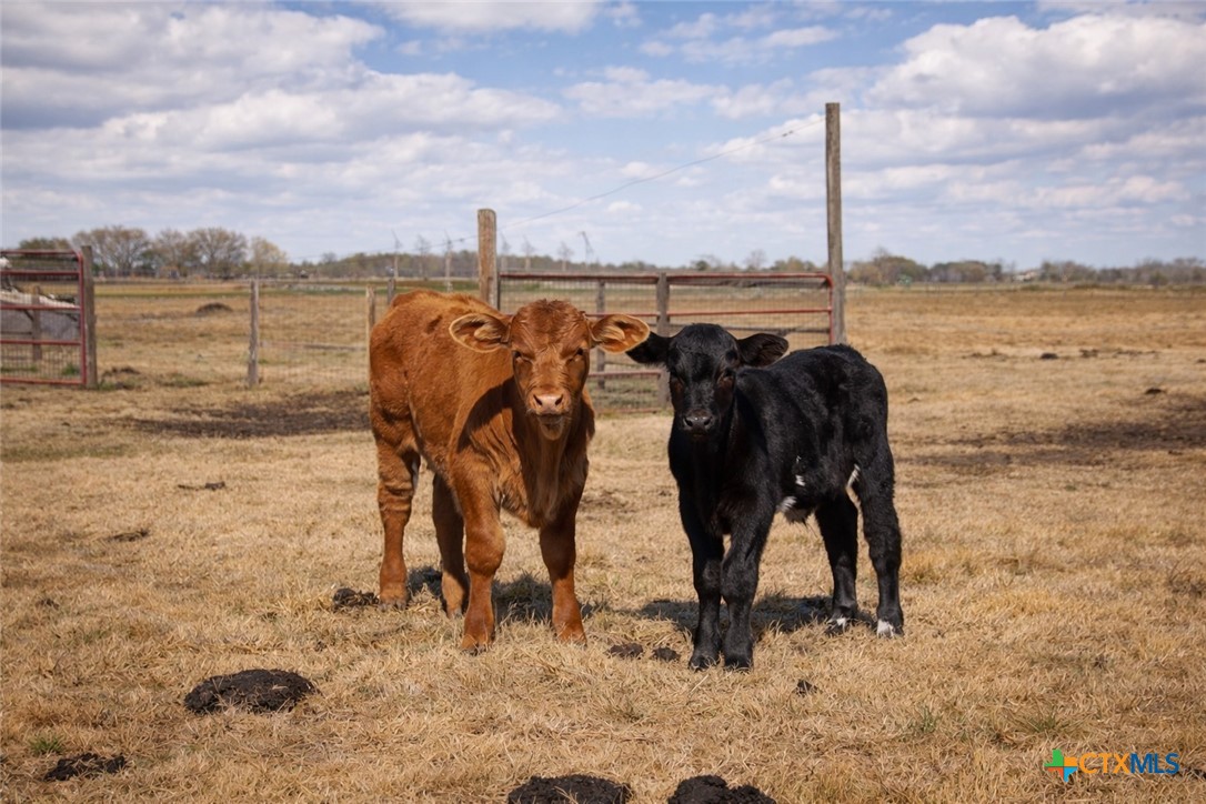 9439 Jeske Road Needville, TX 77461 - Photo 46 of 48